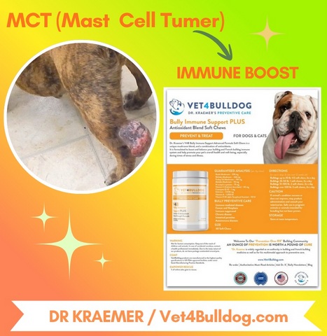 Cancer and Tumors Immune Supplement