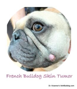 skin mass in bulldogs