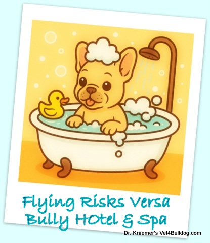 Bubble Bath Bliss for a French bulldog Pup-001