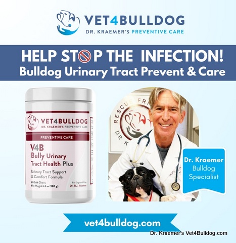 bulldog urinary and bladder care supplement