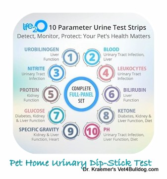 inhouse pet urinary dip stick