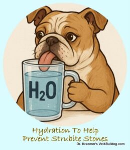 Bulldog Hydration for Struvite Stones