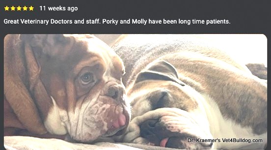 Dr. Kraemer Huntington Beach Bulldog hospital review