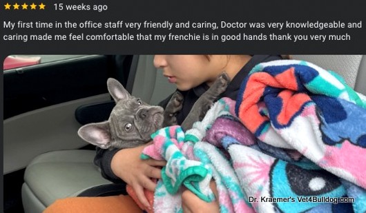 Dr. Kraemer's Bulldog bulldog pet hospital review