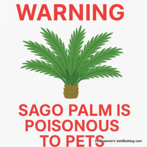 Sago Palm plant pet poisoning