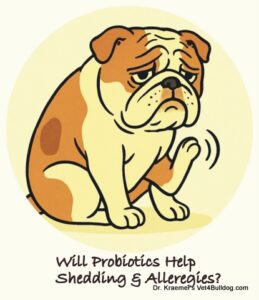 Can probiotics help my bulldog skin allergies and ear infection