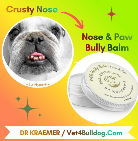bulldog crusty nose before and after balm