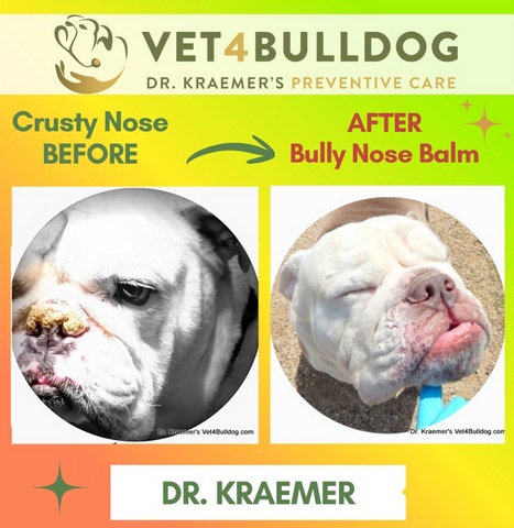 bulldog crusty nose before and after balm