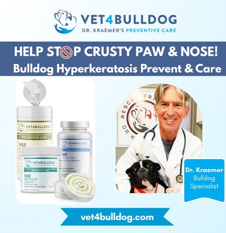 Bulldog crusty nose preventive bundle