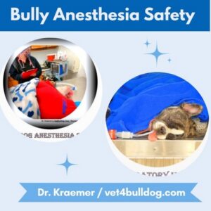 Bulldog Anesthesia Safety