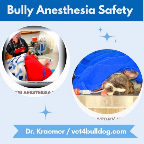 Bulldog Anesthesia Safety