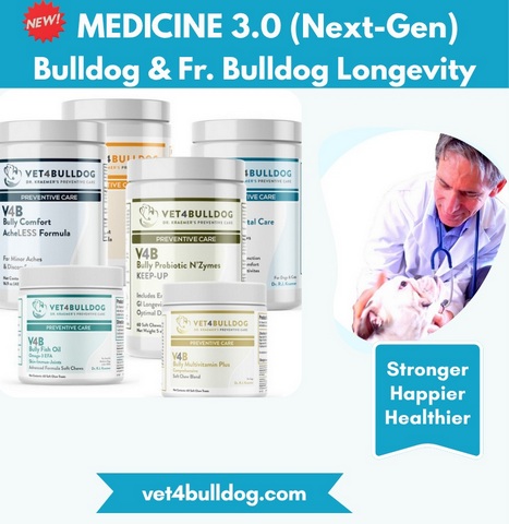 Dogs longevity Therapeutic supplements 