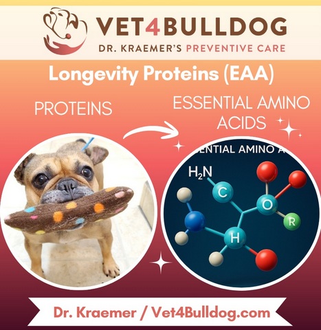 dogs longevity proteins and essentail fa