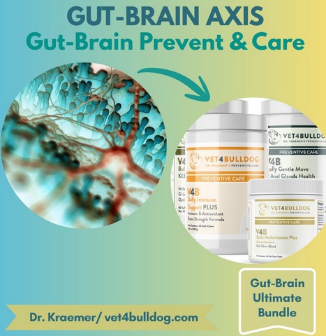Gut and brain ultimate supplements