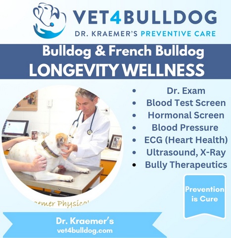 Pet longevity wellness by Dr. Kraemer