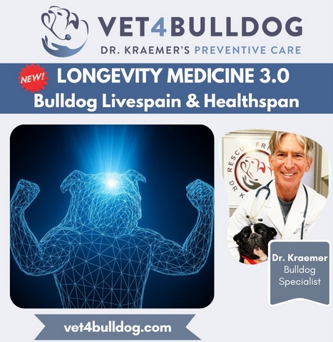 Pet Longevity living longer and better
