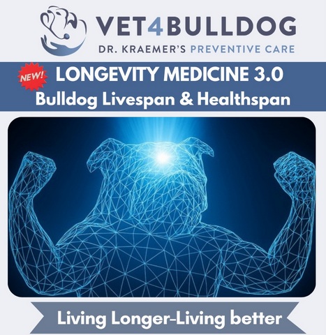 Longevity in pets