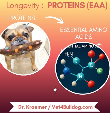 pets longevity proteins and essential amino acids