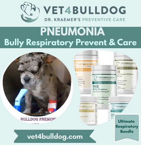 French bulldog pneumonia ultimate supplements