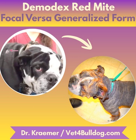 Demodex mites focal versa generalized