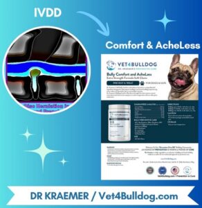 French Bulldog IVDD Ultimate Supplements