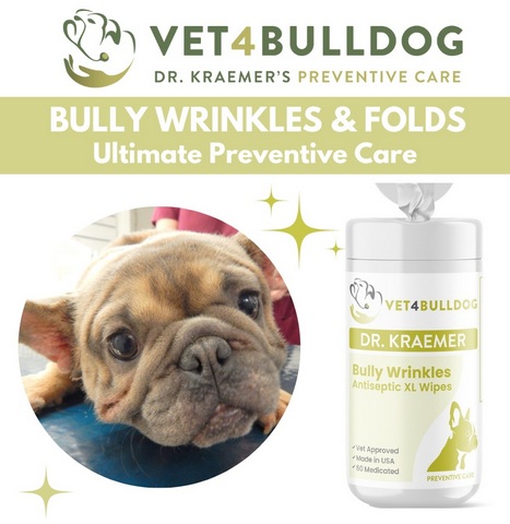 French bulldog antiseptic wrinkles and fold XL Wipes
