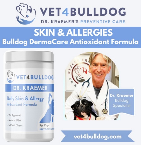 Dr. Kraemer's bulldog skin and allergy supplement