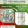 arts and gas probiotic and digestive enzymes