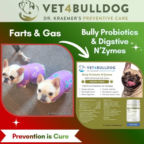 French bulldog probiotics for farts and gas