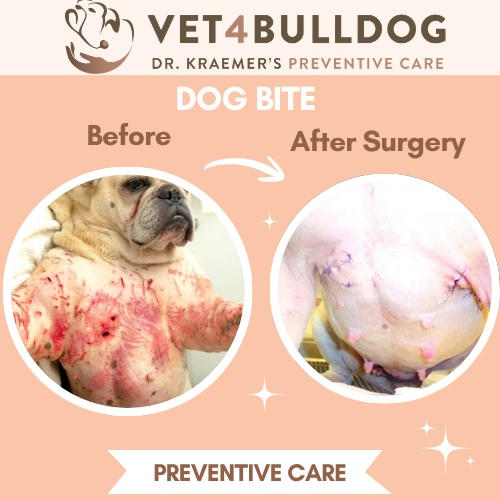 Dog bite punctures before and after surgery