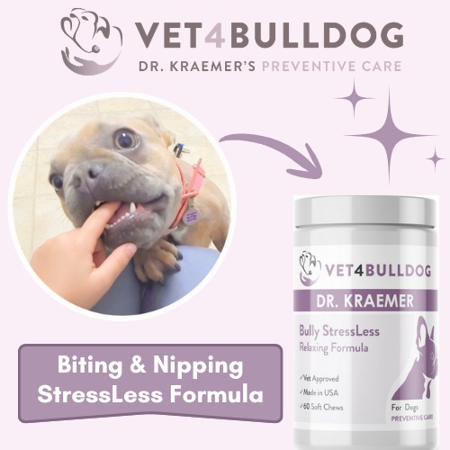 Nipping and biting bulldog stress and calm supplement