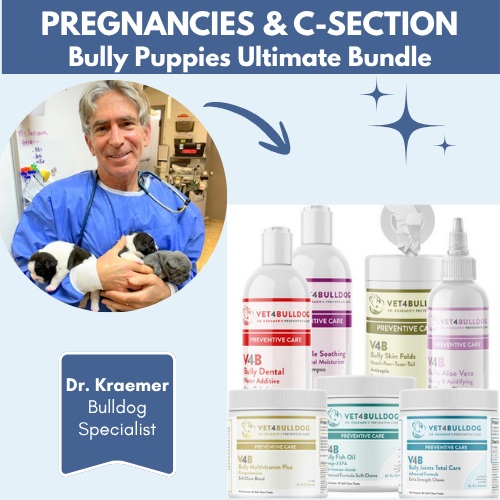 Fr bulldog pregnancies and C-Section Ultimate Bundle