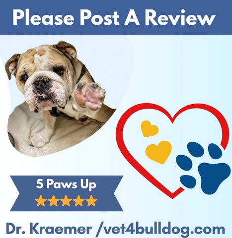 Five paws up vet4bulldog review