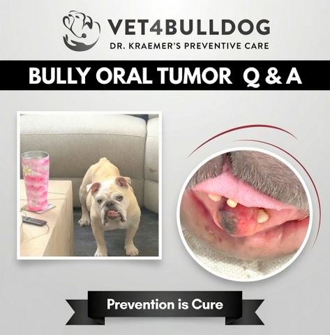 Dr. Kraemer Should this oral tumor be removed