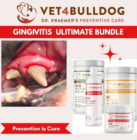 Bulldog gingivitis Ultimate Bundle