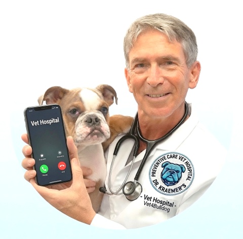 Call the Dr. Kraemer the bulldog expert