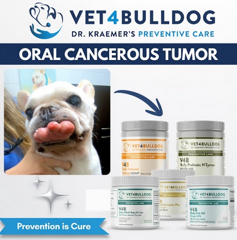 bulldog supplement for bulldog cancer
