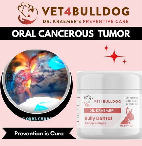 bulldog cancerous oral tumor