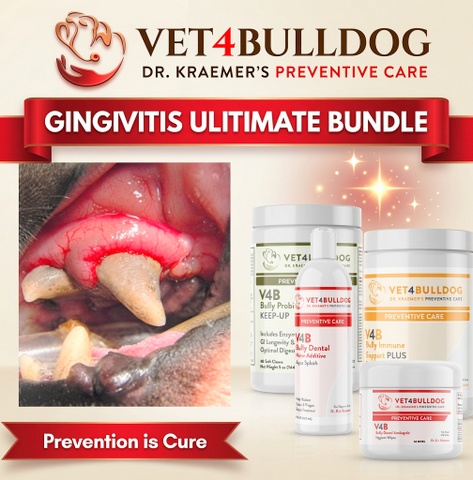 Bulldog Gingivitis ultimate preventive bundle