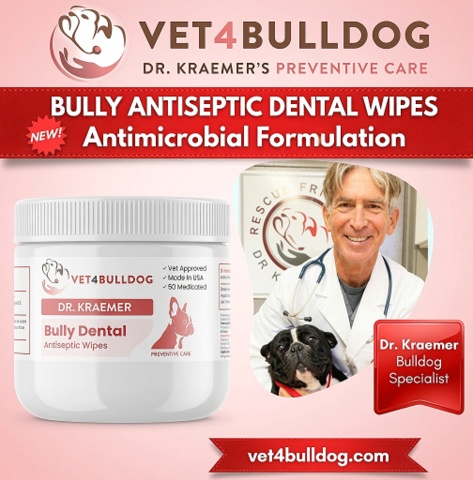 Dr. Kraemer's Bulldog Antiseptic Dental Wipes