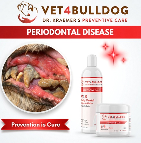 bulldog Periodontal preventive bundle
