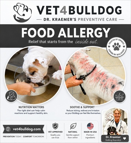 food allergy in bulldog and French bulldogs