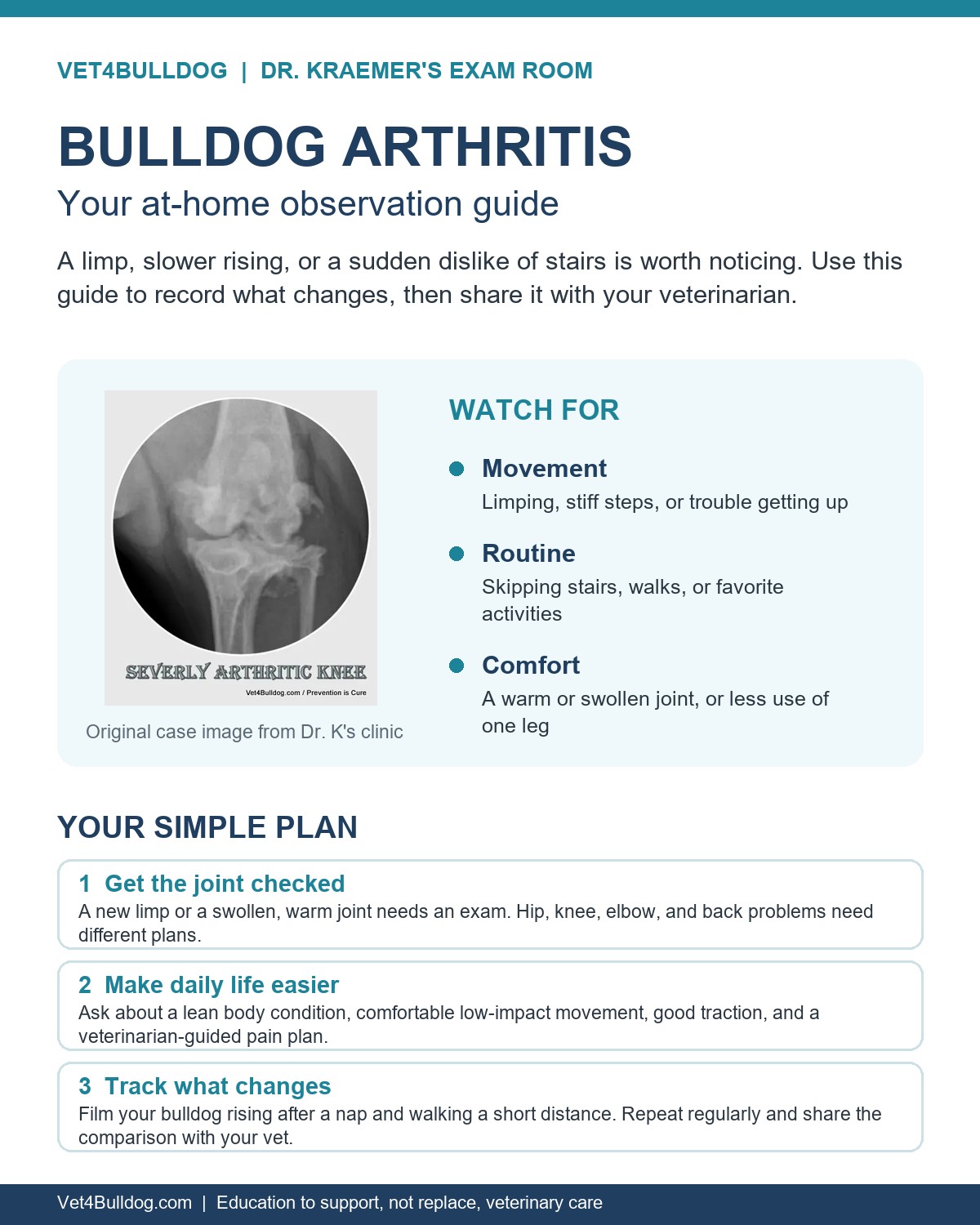 Bulldog arthritis at-home guide with an original clinic image and steps to watch mobility, seek an exam, and track progress
