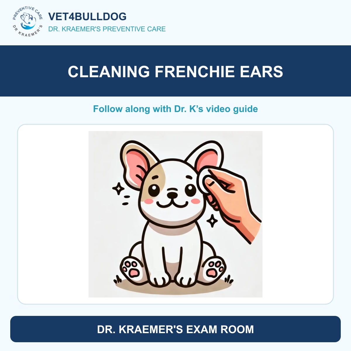 French Bulldog ear-cleaning illustration accompanying Dr. Kraemer’s video guide