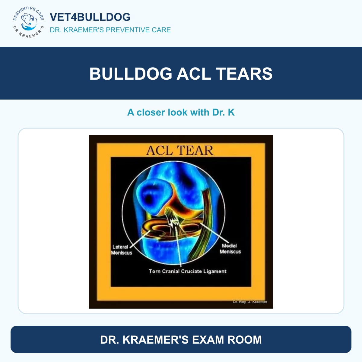 bulldog acl tears guide with original Vet4Bulldog clinical imagery