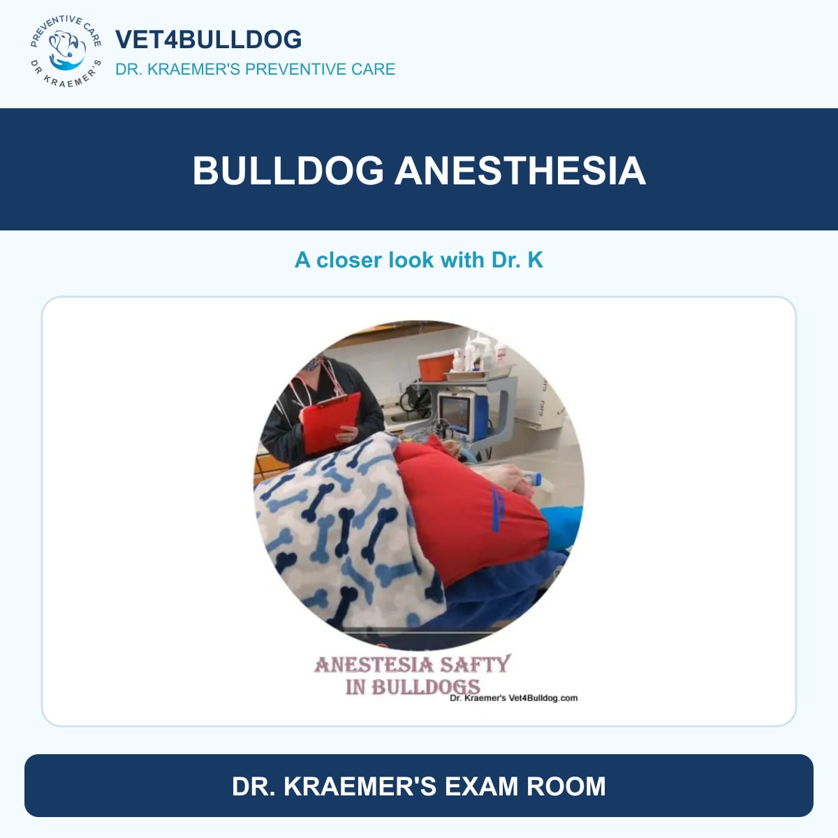 bulldog anesthesia guide with original Vet4Bulldog clinical imagery