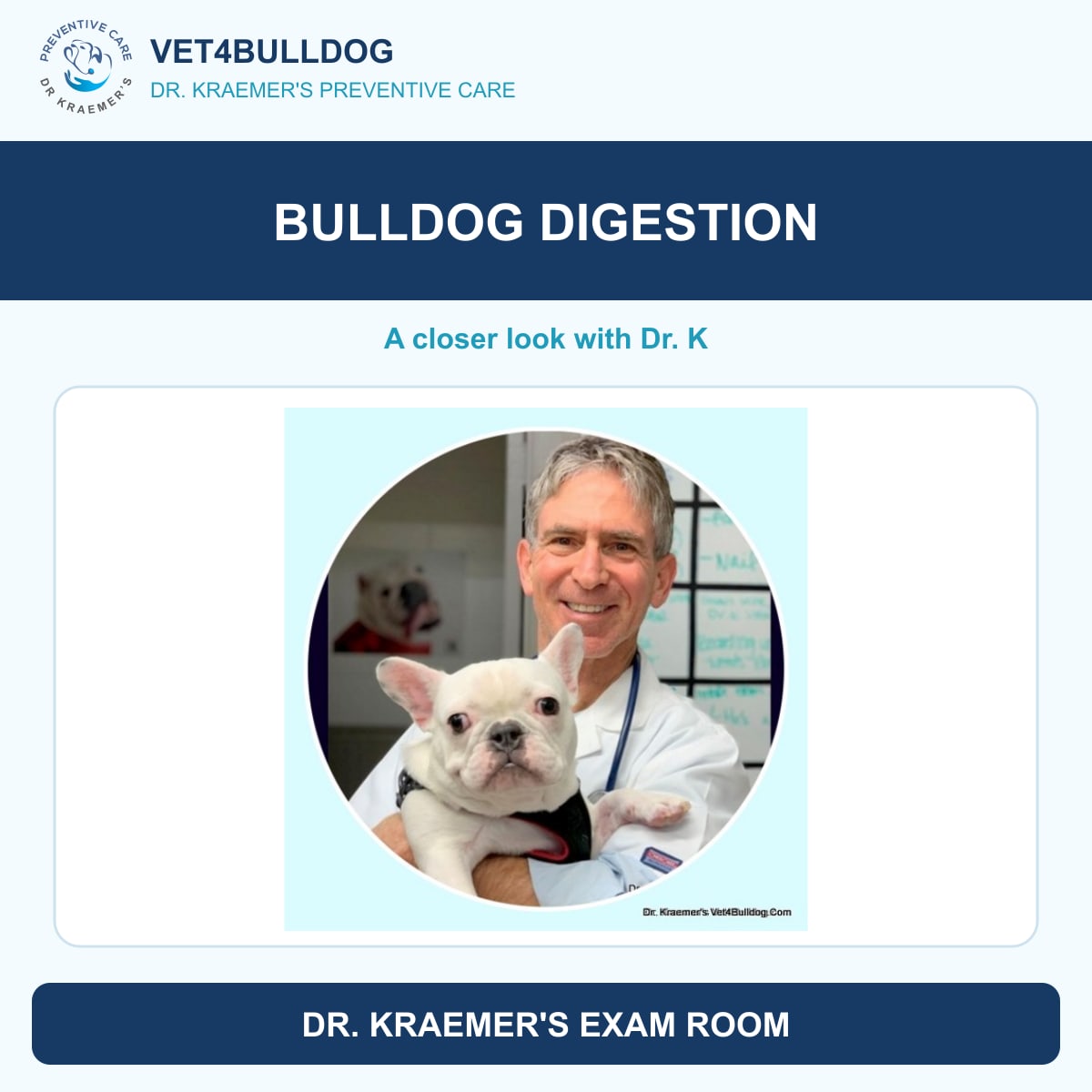 Bulldog digestion and stomach problems guide with Dr. Kraemer and a Bulldog