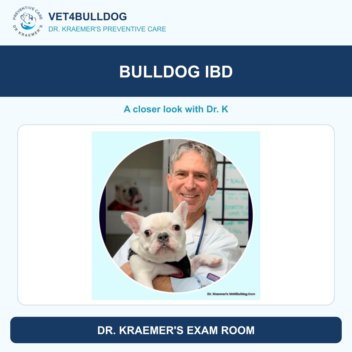 bulldog ibd guide with Dr. Kraemer and a Bulldog