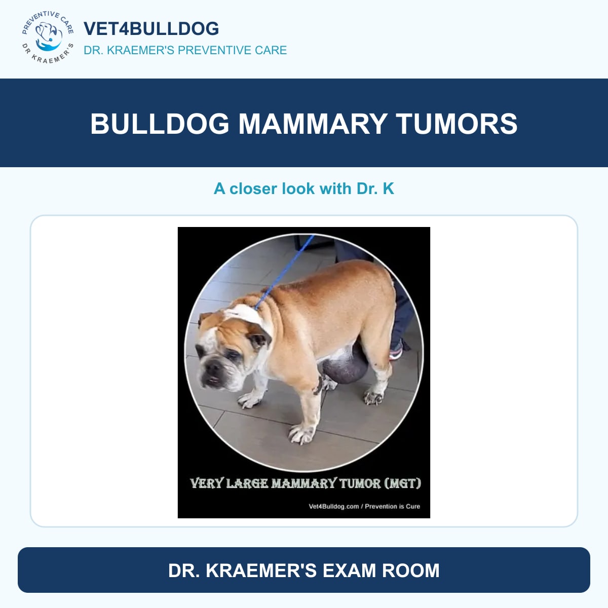 Bulldog mammary gland tumor guide with original Vet4Bulldog clinical imagery