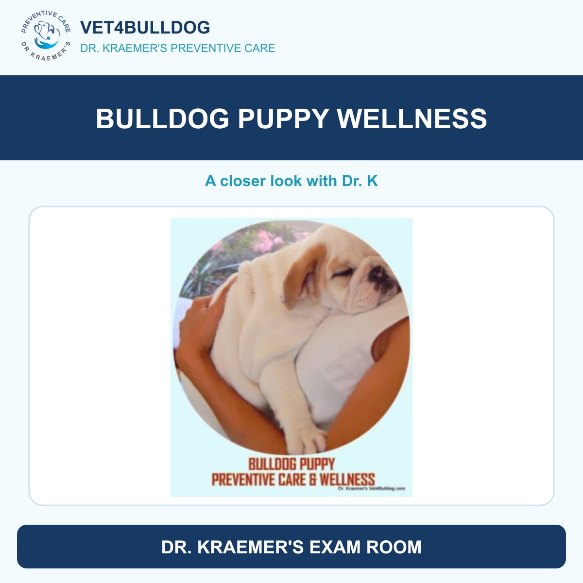 bulldog puppy wellness guide with original Vet4Bulldog clinical imagery